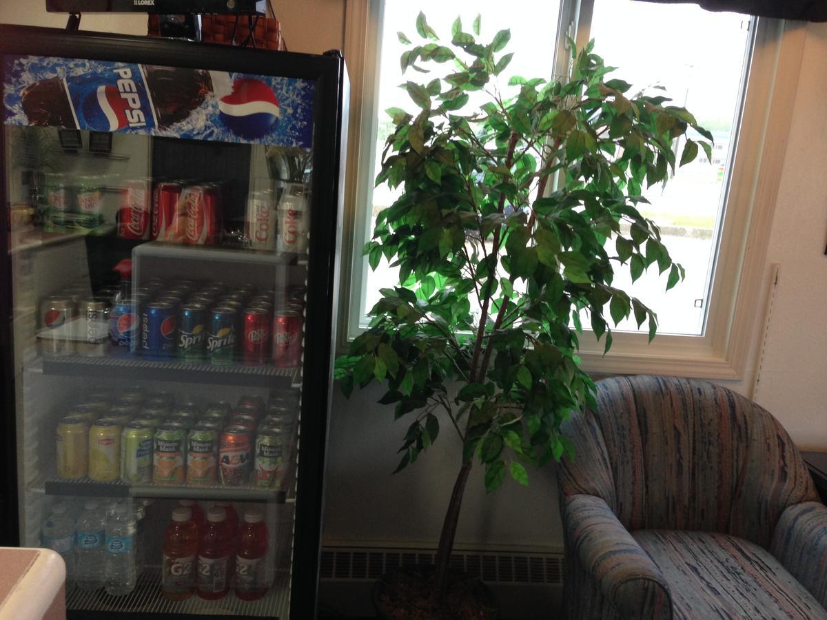 Plains Motor Inn Stettler Екстериор снимка
